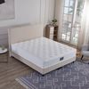 V6 Boxspringbett Modell 208 mit Taschenfederkernmatratze Bild 2