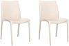 vidaXL Gartenstühle 2 Stk. Creme 50x46x80 cm Polypropylen 364733 Bild 2