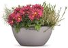 LECHUZA Pflanzgefäß CUBETO Stone 30 ALL-IN-ONE Steingrau 13830 421445 Bild 5