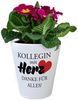 speecheese Blumentopf Kollegin mit Herz Danke für alles Blumentopf Bild 2
