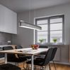 helestra BOKI Pendelleuchte mattmessing eloxiert (anthrazit) #16/1704.02/9255 Bild 1