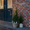 Haushalt International LED Stern LED Metall Gartenstecker Sterne Weihnachtsdekoration Gartendekoration, Timer (6/18 Stunden) 50 LEDs Bild 4