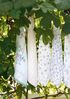 Greengate Geschirrtuch Portia Geschirrtuch flowers white 70x50 cm Bild 2