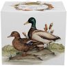 DUO World of Birds Becher 400 ml WILD DUCK (Wildente) New Bone China Porzellan Bild 3