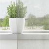 vidaXL Voile Vorhänge mit Ösen 2 Stk. Hellgrau 140x175 cm 4102108 Bild 3