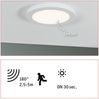 Paulmann No. 95391 LED Einbaupanel Cover-it mit Sensor rund 225mm 4000K Bild 3