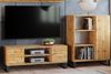 Raumhirsch Furniture Lowboard Focus, Stehendes Fernsehregal für das Wohnzimmer (Fernsehkommode, TV Schrank, TV Board stehend), Elegant & Funktional Bild 2