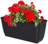 Annastore Blumenkasten Balkonkasten aus wetterfestem Kunststoff - Blumenkästen - Balkonkästen Bild 2