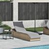 vidaXL Klappliege mit Auflage und Stauraum Beige Poly-Rattan 4104223 Bild 2