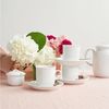 Thomas Trend Weiss Kaffee-Untertasse Bild 3