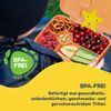 schmatzfatz Frischhaltedose Lite Lunchbox 6 Fächer 20,8 x 4,5 x 15 cm, Tritan, Silikon, (Packung), Auslaufsicher BPA-frei- Kinderfreundliche mit fächern Kinder Schule Bild 2