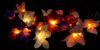Guru-Shop LED-Lichterkette Lotus Blüten LED Lichterkette. - Blüte bunt Bild 2