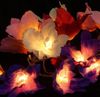 Guru-Shop LED-Lichterkette Lotus Blüten LED Lichterkette. - Blüte bunt Bild 4