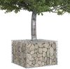 vidaXL Gabionen Hochbeet Silber 60 x 60 x 40 cm Verzinkter Stahl 42033317 Bild 3