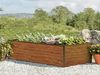 GFP HALFSIZE Aluminium Hochbeet - Platzsparendes & Stabiles Gartenbeet in Holzoptik - 150 x 77 x 39 cm - Ideales halbhohes Modell für Familien-Gartenspaß Bild 1