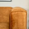 Bronx71 Samt Sofa Memphis 2,5-Sitzer ockergelb/cognac Bild 5
