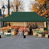 300 x 600 cm großes Pop-up-Überdachungszelt klappbares Eventzelt mit Tragetasche Grün Bild 5