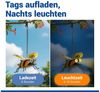 Maximex LED Gartenleuchte Modell Biene, Ein-/Ausschalter, LED fest integriert, Warmweiß, solarbetriebene Gartendekoration, leuchtet bis zu 8 Stunden Bild 3