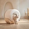 Katzentoilette Automatische Selbstreinigende Katzentoilette mit Sensor, App-Steuerung, Nachtlicht, abnehmbarer Trommel,Weiß Bild 2