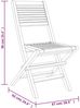 vidaXL Gartenstühle 8 Stk. Klappbar 47x62x90 cm Massivholz Teak 3155066 Bild 5