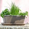 Balkonkasten glatt umbra ca. 30×16×14 cm – schlichter Pflanzkasten mit Drainageloch für Blumen und Kräuter geeignet für Balkon Fensterbank und Terrasse Bild 2