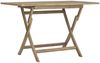 vidaXL Gartentisch Klappbar Grau 120x70x75 cm Massivholz Teak 362763 Bild 2