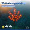 Maximex Solar LED Gartenstecker Orchideen, 2er Set, warmgelbe LEDs, 2 Lichtmodi, Dämmerungssensor, wetterfest, Solar Gartenbeleuchtung für Beete und Pflanzkübel, 20-55x75 cm, Kunststoff/Metall Bild 3