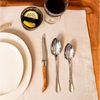 Amefa ROYAL STEAK Steakmesser Set 4-teilig holz hochglanzpoliert Bild 2