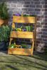 Dobar Blumentreppe Pflanztreppe Dreistufig Blumenkasten Kräuter inkl Pflanzfolie Bild 5