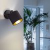 RGB LED Wandstrahler, schwarz-gold, beweglich, H 19 cm, TOMMY Bild 3