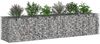 vidaXL Gabionen Hochbeet 2 pcs Silber 260 x 60 x 55 cm 3422229 Bild 3