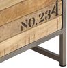 vidaXL Beistellschrank mit Schubladen 45x30x105 cm Mango Massivholz 286535 Bild 4