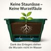 Balkonkasten 100cm Blumenkasten mit Wasserspeicher Grün 25 L - Blumenkästen wetterfest Pflanzkasten mit Einsatz Lange Balkonkästen für Garten und Balkon witterungsbeständig Bild 3