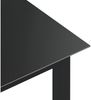 vidaXL Gartentisch Schwarz 80x80x74 cm Aluminium und Glas 312200 Bild 3