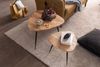 2er Set Satztisch Akazie Massivholz / Metall Couchtisch Klein, Design Beistelltisch Set Zwei Holz-Tische, Wohnzimmertisch Tisch Metallgestell Bild 5