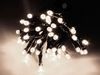 Lichterkette LED mit 720 LEDs Kaltweiß Bild 1