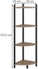 Eckregal Bivio Goldkraft Eiche/Anthrazit 29 x 102.5 cm mit 4 Ablagefächern Vicco Bild 2