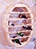 DanDiBo Weinregal Holz Wand Weinfass 24 Flaschen Natur Wandregal Flaschenregal Bild 4