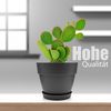 BigDean 3 Stück Blumentopf mit Untersetzer rund ø30 cm in Anthrazit – Übertopf innen + außen geeignet – aus bruchsicherem Kunststoff & Made in Europe Bild 2