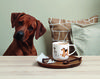 ASA Selection coppa cats & dogs Henkelbecher Surprised Cats, Kaffeetasse, Becher, Kaffee Tasse, Tee, Fine Bone China, Weiß, 400 ml, 19443014 Bild 5