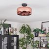 hofstein Deckenleuchte 1-flammige Deckenlampe aus Metall/Glas in Schwarz/Kupferfarben, ohne Leuchtmittel, im Retro/Vintage-Design (Schirm Ø 28 cm), E27 Bild 2