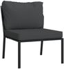 vidaXL Gartenstühle mit Grauen Kissen 2 Stk. 60x74x79 cm Stahl 362717 Bild 3