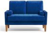 ToteBox 2-Sitzer 121CM Kleine Samt Sofa mit 2 Kissen für Wohnzimmer, Schlafzimmer Bild 1