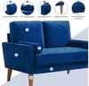 ToteBox 2-Sitzer 121CM Kleine Samt Sofa mit 2 Kissen für Wohnzimmer, Schlafzimmer Bild 3
