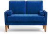 ToteBox 2-Sitzer 121CM Kleine Samt Sofa mit 2 Kissen für Wohnzimmer, Schlafzimmer Bild 4