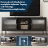 Coemo Lowboard Tokio aus Metall TV-Schrank Schwarz 2 Glastüren Bild 4