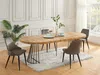 Vente-unique - FIRELA Esstisch Holz, Platte SchwarzBeige - B 110 cm x H 76 cm x L 260 cm210 cm160 cm110 cm Bild 3