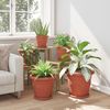 vidaXL Blumentöpfe 6 pcs Ziegelrot Ø 34 x 28 cm Kunststoff 3403273 Bild 4