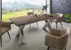 Baumtisch Akazie 180x90x77 grau lackiert / X-Beine silber matt FREEFORM 5 Bild 3