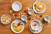 Van Well Kindergeschirr Set 3-teilig Fuchs und Freunde Bild 3